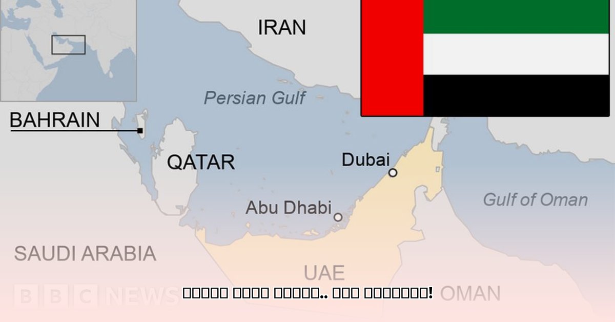 uae-central-bank-zayed-rashid-coins